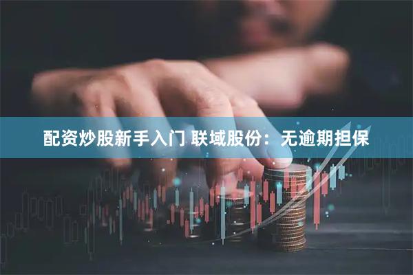 配资炒股新手入门 联域股份：无逾期担保