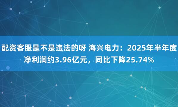 配资客服是不是违法的呀 海兴电力：2025年半年度净利润约3.96亿元，同比下降25.74%